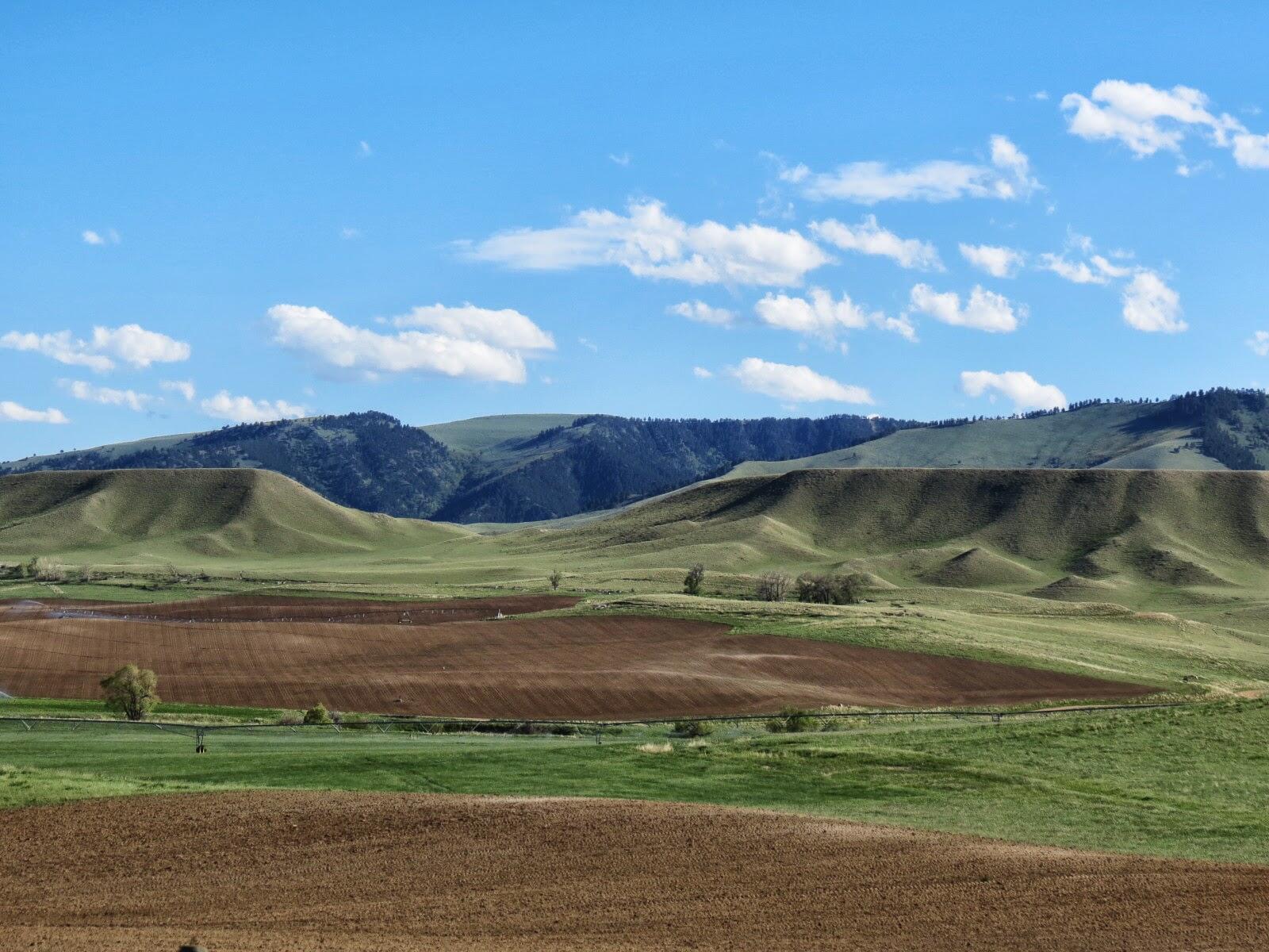 77 Sand Crk Rnch Road Buffalo, WY 82834 - Photo 4 of 29 56