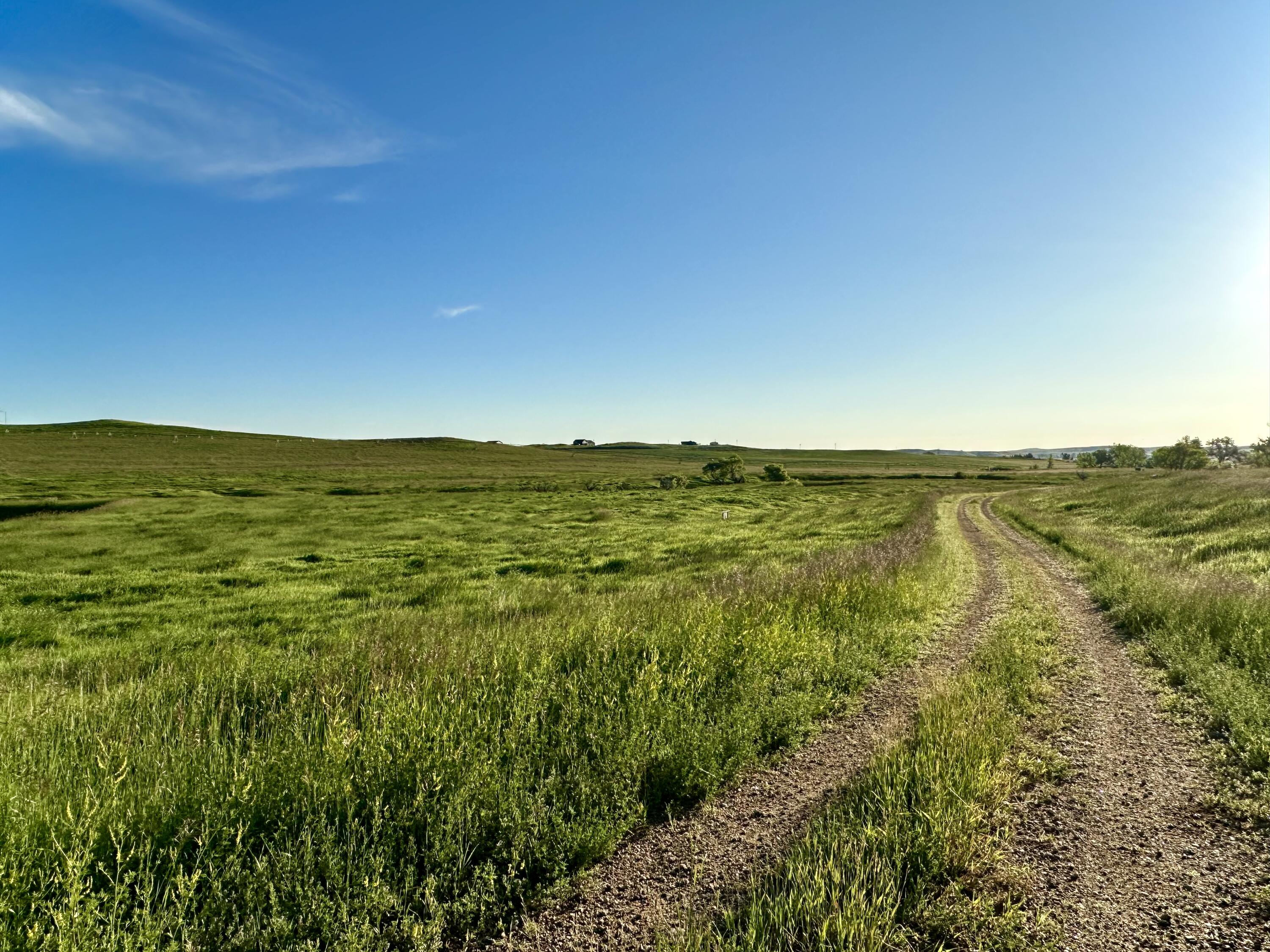 77 Sand Crk Rnch Road Buffalo, WY 82834 - Photo 6 of 29 52