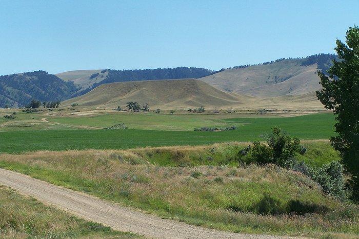 77 Sand Crk Rnch Road Buffalo, WY 82834 - Photo 8 of 29 42