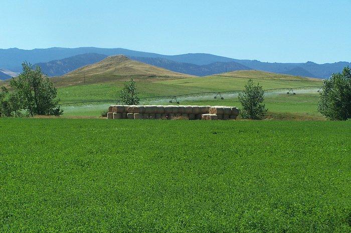 77 Sand Crk Rnch Road Buffalo, WY 82834 - Photo 9 of 29 43