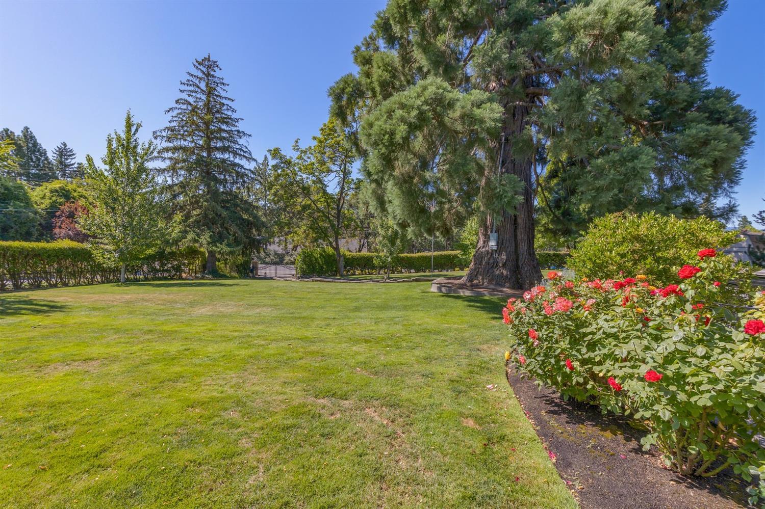 2447 Hillcrest Road Medford, OR 97504 - Photo 31 of 35 Additional Photo