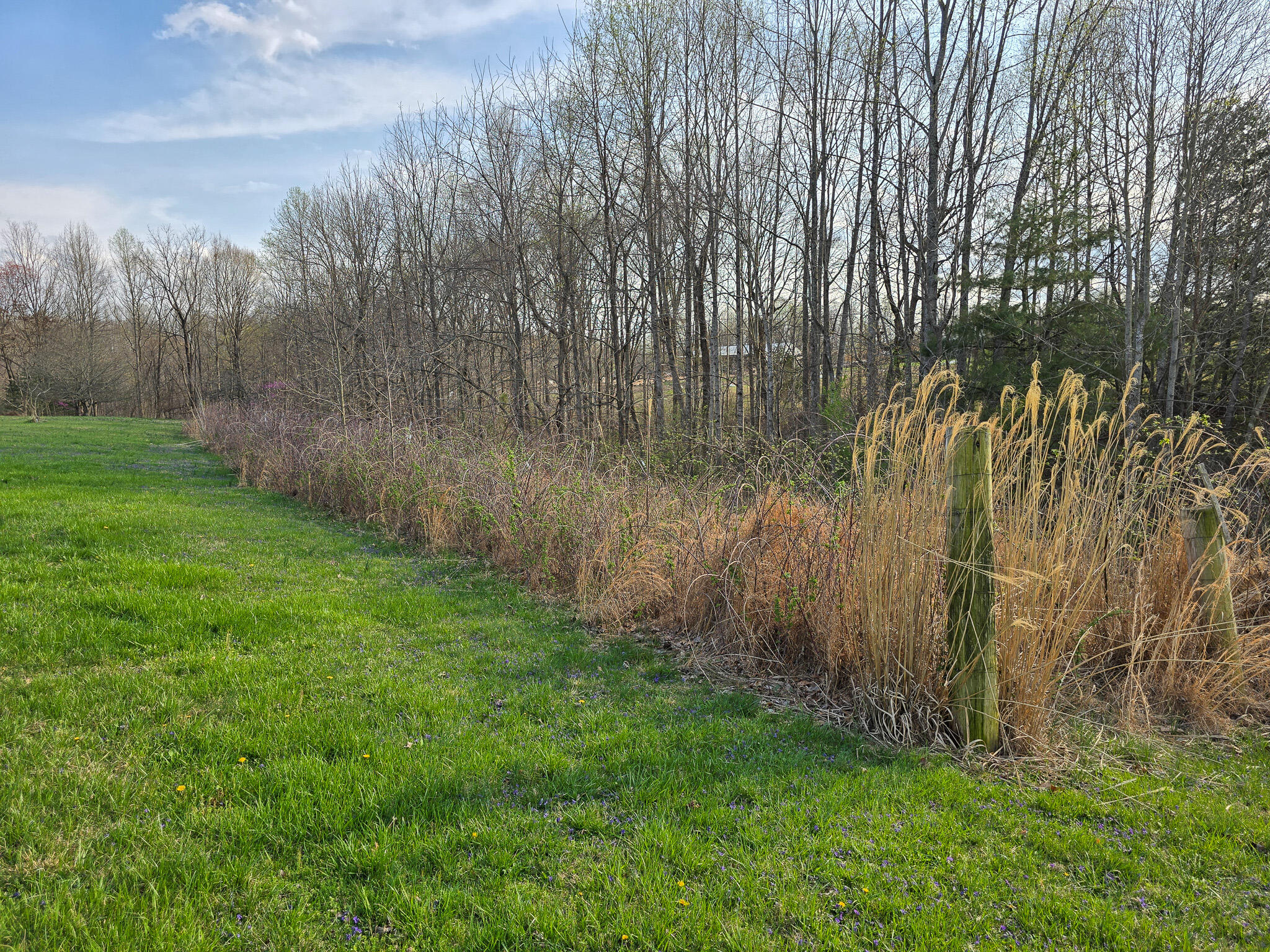 2060 Dry Ridge Road Liberty, KY 42539 - Photo 78 of 87 20250402_181232