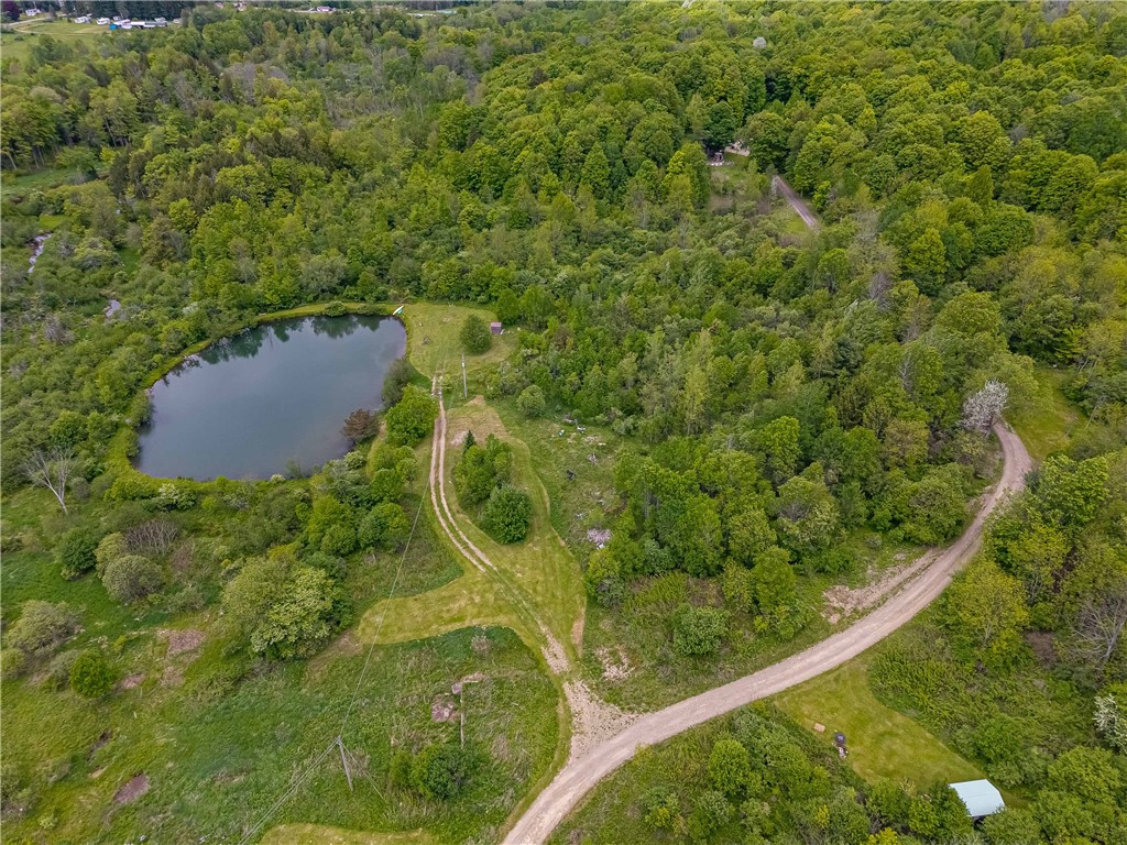 3356 Joe McMahon Road Birdsall, NY 14822 - Photo 27 of 50 Drone Footage