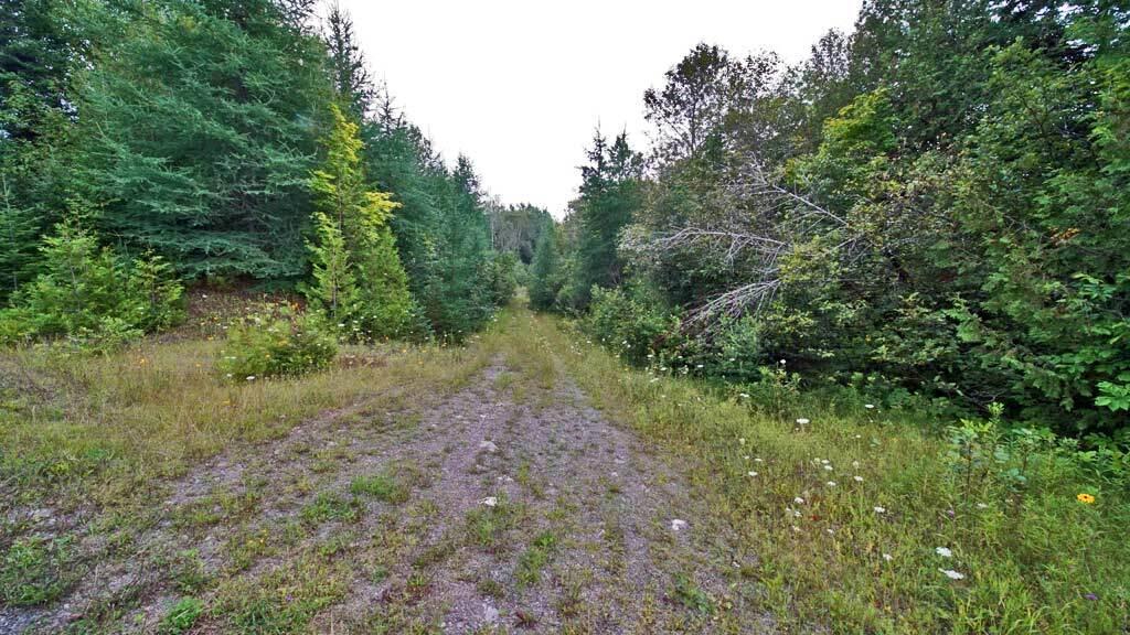 Lot 62-5 Folsom Road Houlton, ME 04730 - Photo 22 of 28 folsom-rd-me-land-5