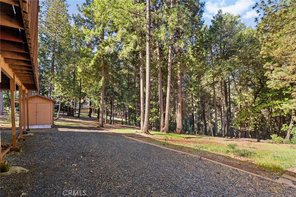 14219 Wycliff Way Magalia, CA 95954 - Photo 44 of 67 a view of a park with large trees