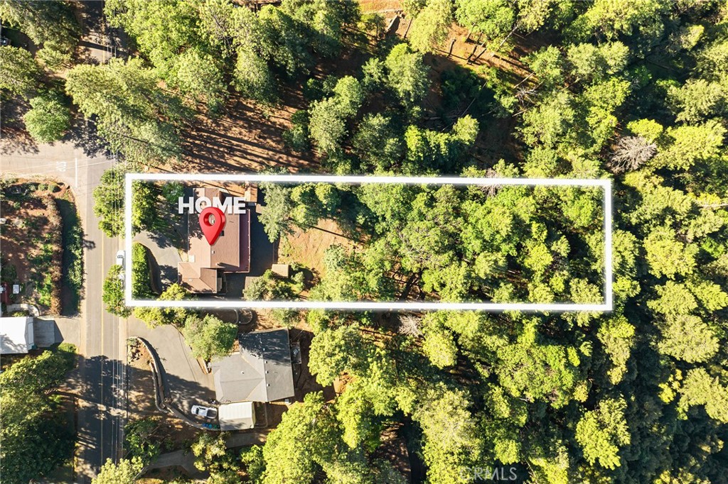 14219 Wycliff Way Magalia, CA 95954 - Photo 48 of 67 a side view of a multi story yard with plants