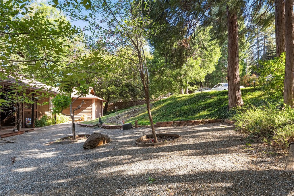 14219 Wycliff Way Magalia, CA 95954 - Photo 66 of 67 a view of a park with large trees
