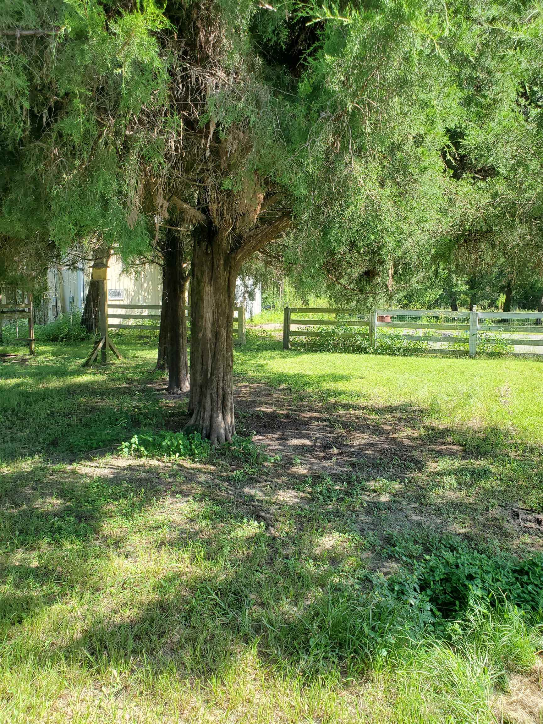 14416 Northwest Andy Roberson Road Bristol, FL 32321 - Photo 17 of 22 Gallery Image 17