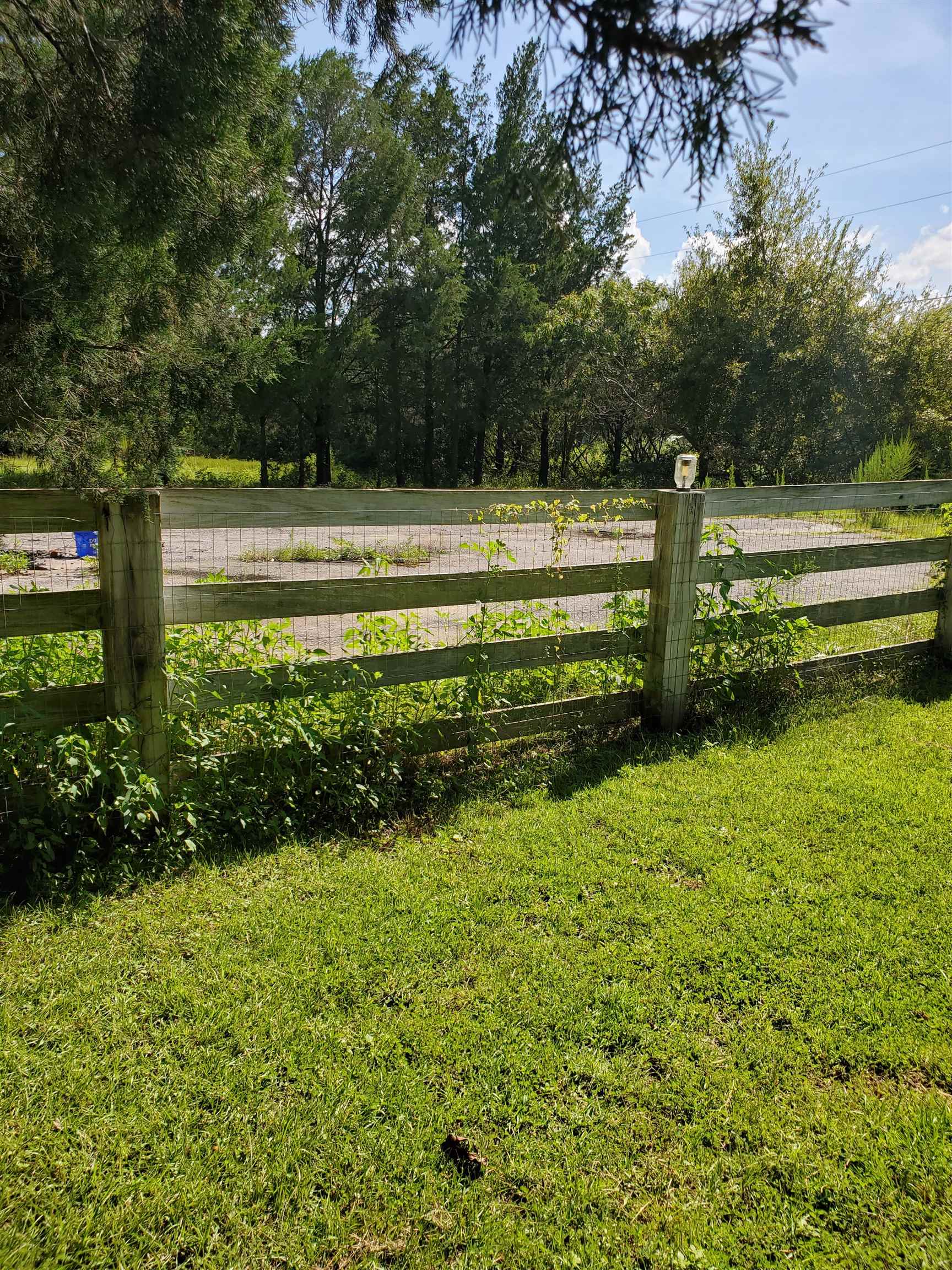 14416 Northwest Andy Roberson Road Bristol, FL 32321 - Photo 8 of 22 Gallery Image 8