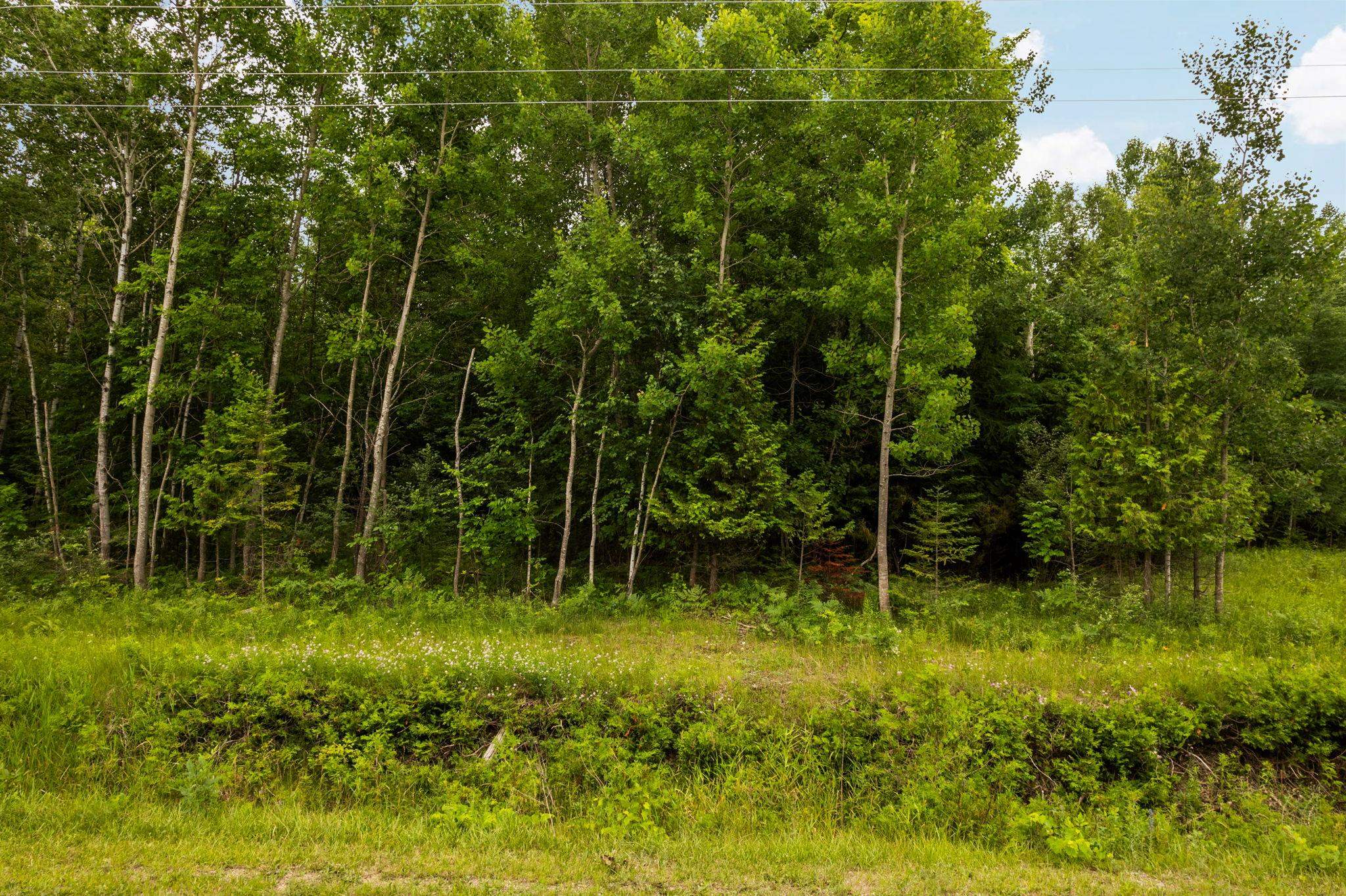 0 Creswell Road Kewadin, MI 49648 - Photo 16 of 16