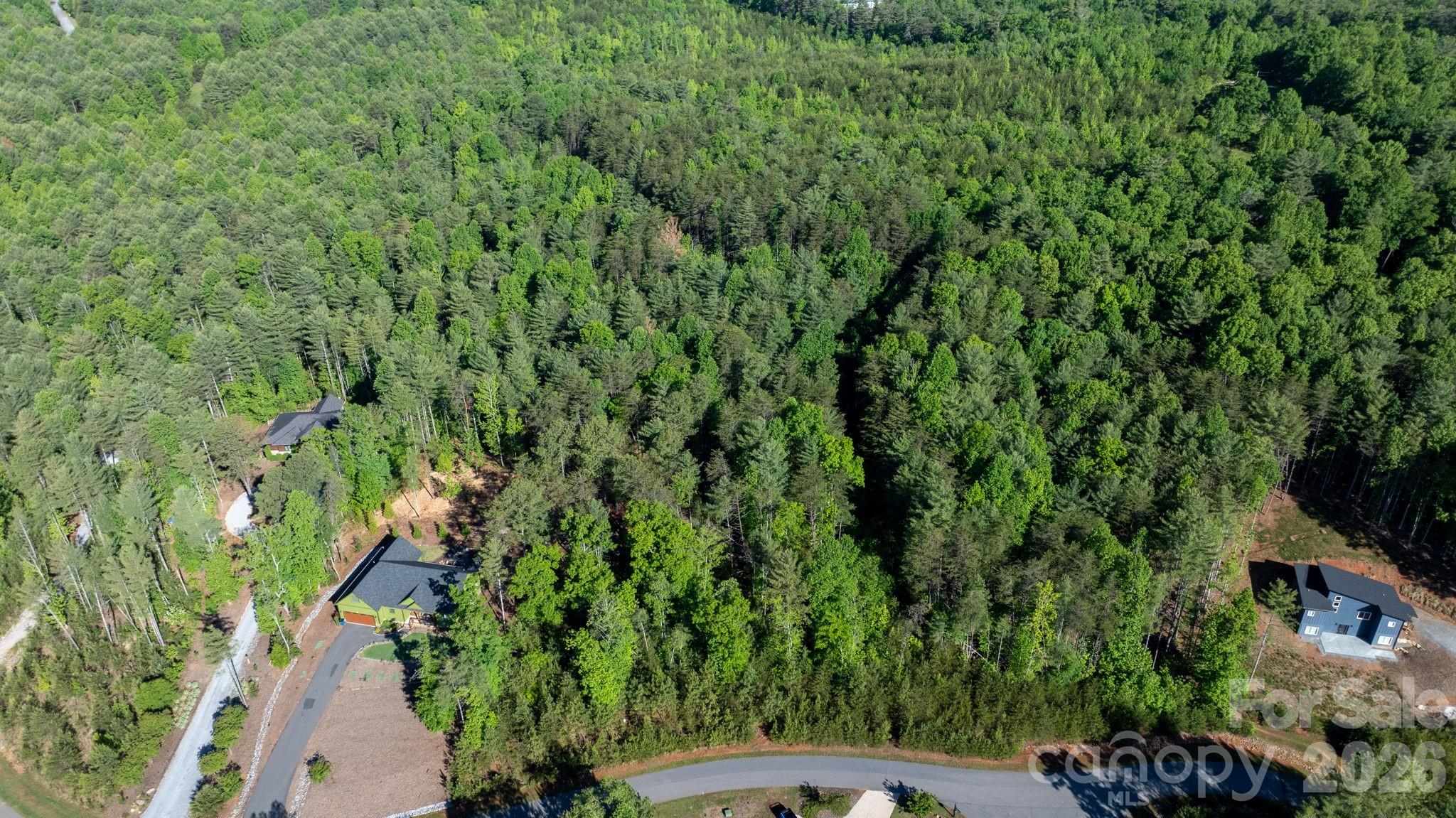 3030 Channel View Cove Morganton, NC 28655 - Photo 10 of 25