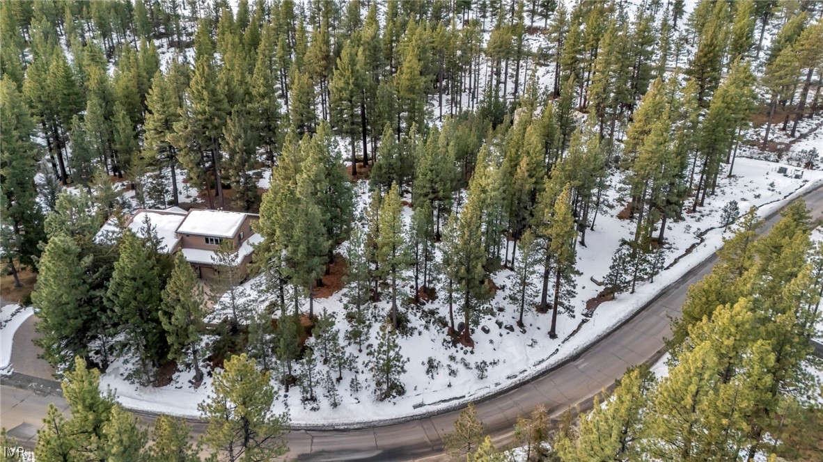 a view of a forest from a balcony