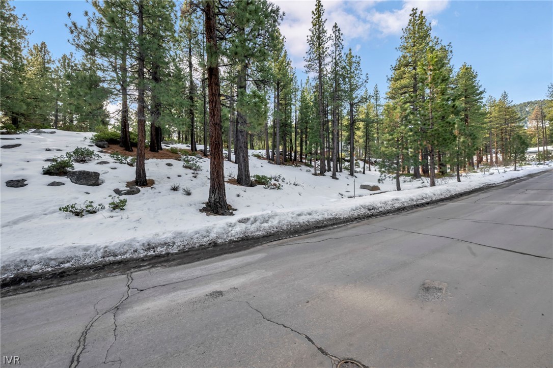 1205 Douglas Fir Drive Reno, NV 89511 - Photo 11 of 26 a view of a road with a tree