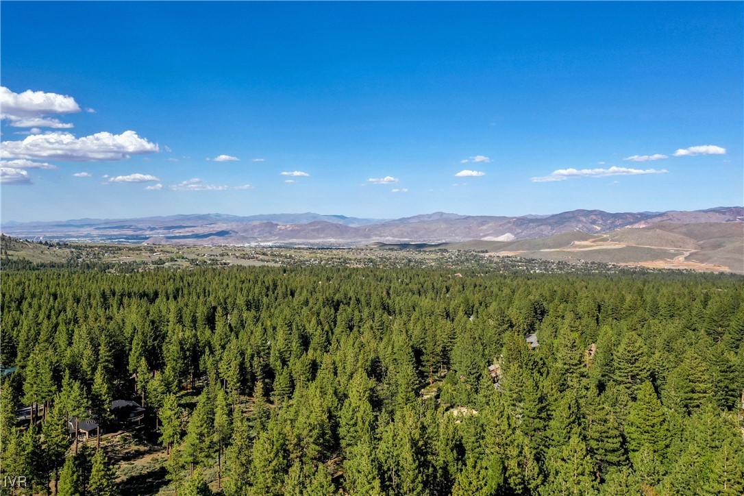 1205 Douglas Fir Drive Reno, NV 89511 - Photo 12 of 26 a view of a city with lush green forest