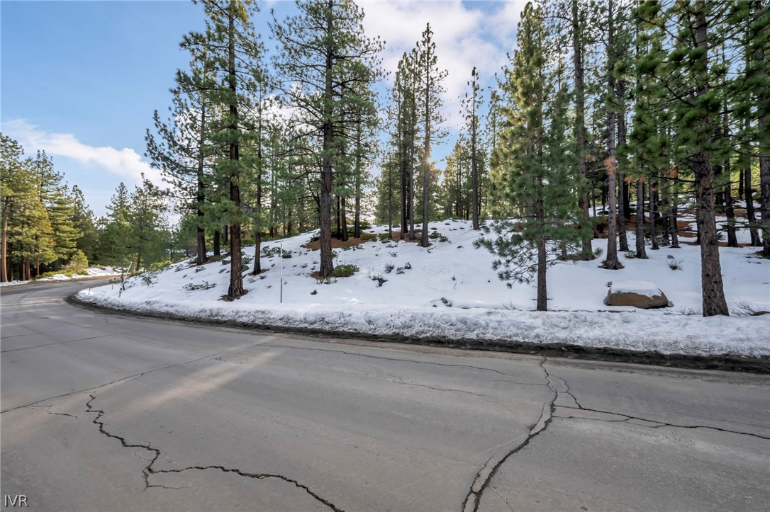 1205 Douglas Fir Drive Reno, NV 89511 - Photo 13 of 26 a view of a dry yard with trees