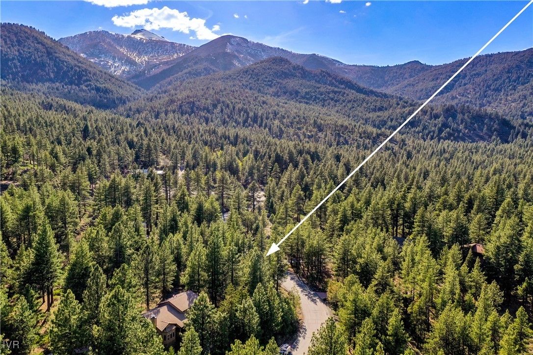 1205 Douglas Fir Drive Reno, NV 89511 - Photo 14 of 26 a view of a lush green mountain