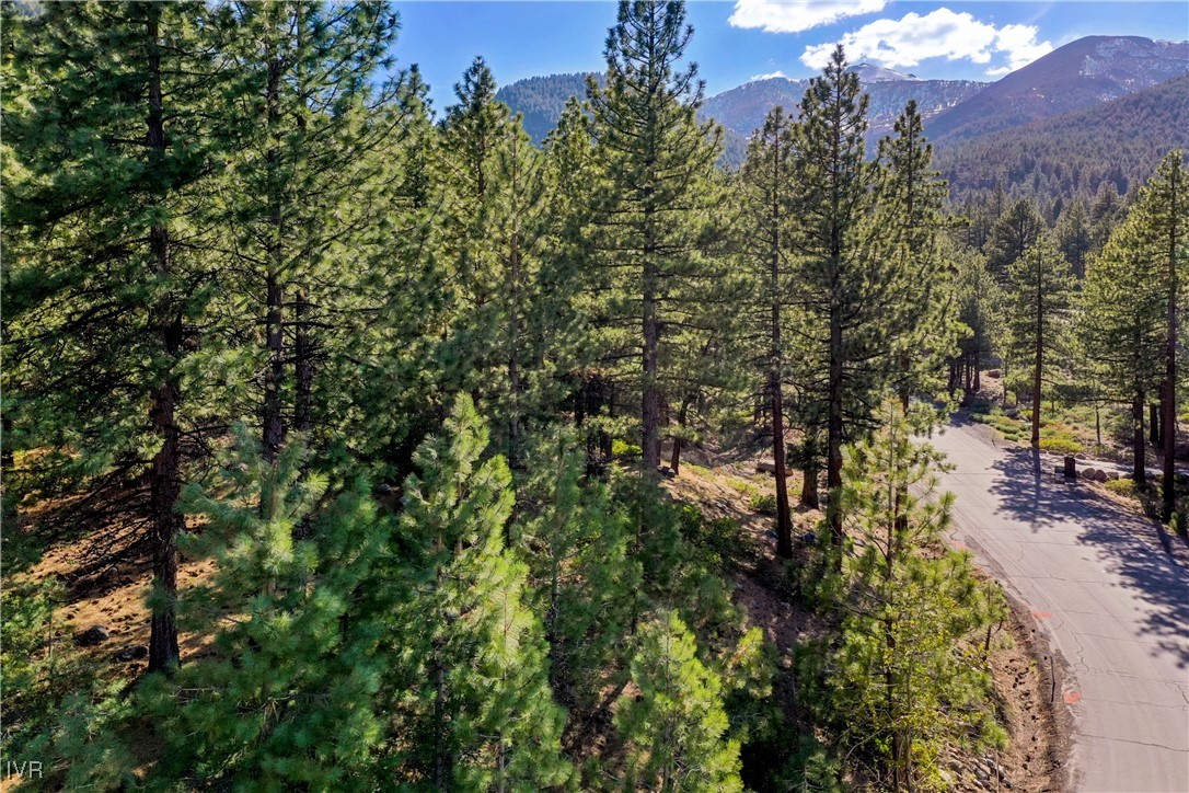 1205 Douglas Fir Drive Reno, NV 89511 - Photo 17 of 26 a view of a city with lush green forest