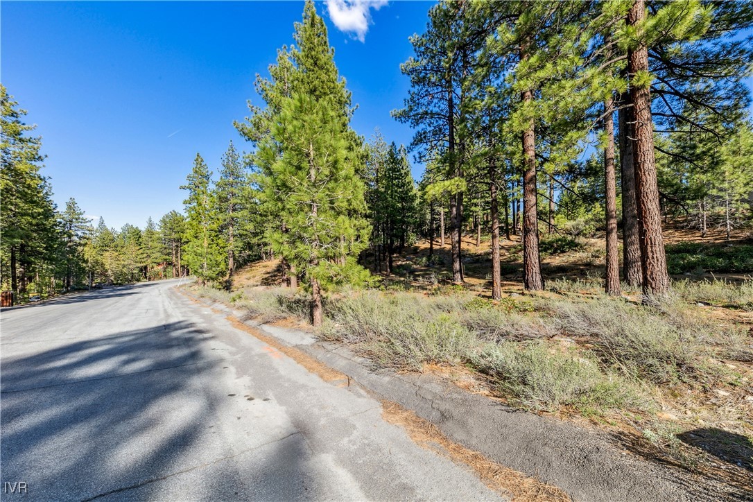 1205 Douglas Fir Drive Reno, NV 89511 - Photo 18 of 26 a view of a yard with plants and trees