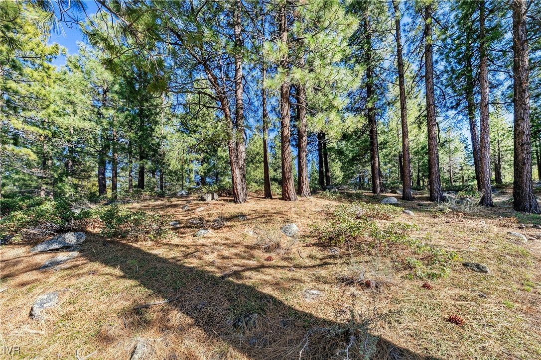 1205 Douglas Fir Drive Reno, NV 89511 - Photo 20 of 26 a view of outdoor space with trees