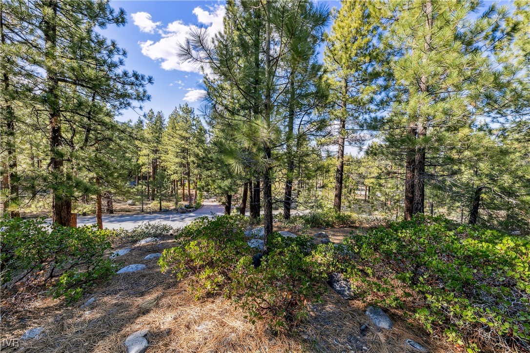 1205 Douglas Fir Drive Reno, NV 89511 - Photo 21 of 26 a view of a yard with plants and trees