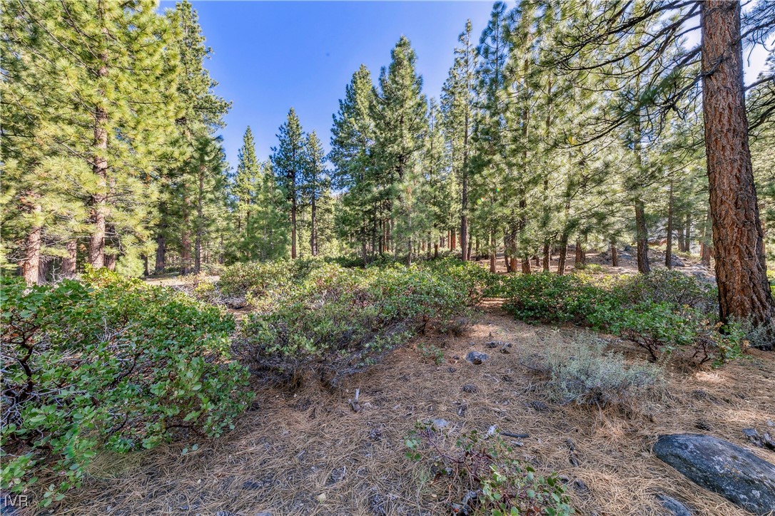 1205 Douglas Fir Drive Reno, NV 89511 - Photo 22 of 26 a view of a yard with plants and trees