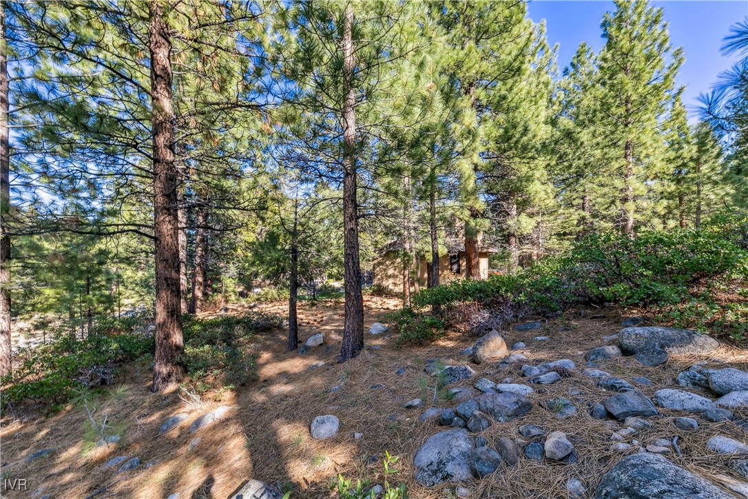 1205 Douglas Fir Drive Reno, NV 89511 - Photo 23 of 26 a backyard of a house with lots of green space