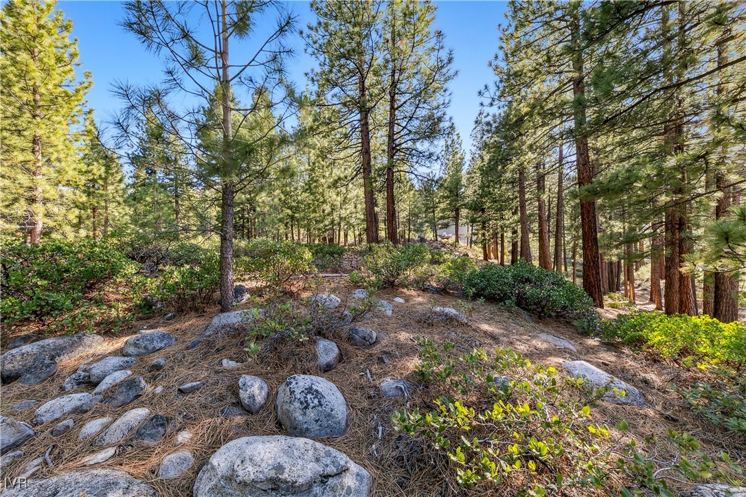1205 Douglas Fir Drive Reno, NV 89511 - Photo 24 of 26 a view of a pathway both side of yard