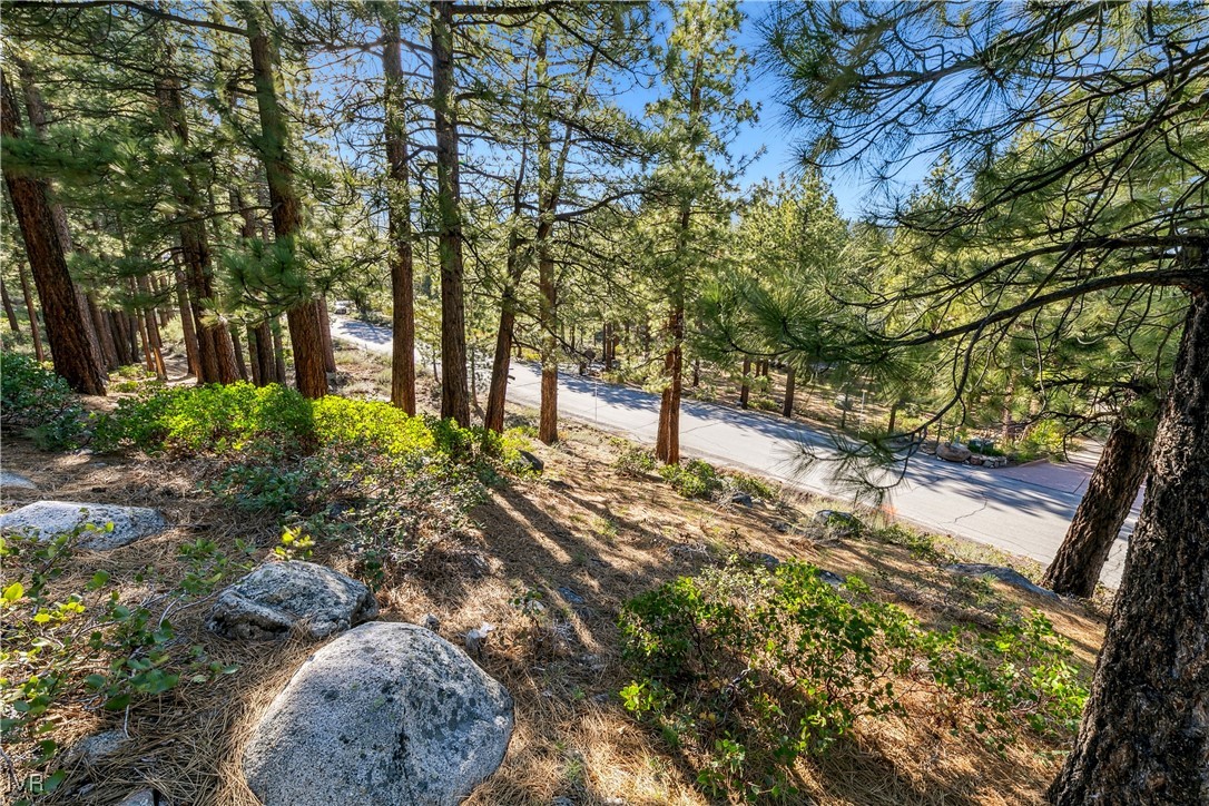 1205 Douglas Fir Drive Reno, NV 89511 - Photo 25 of 26 a view of a yard with plants and trees