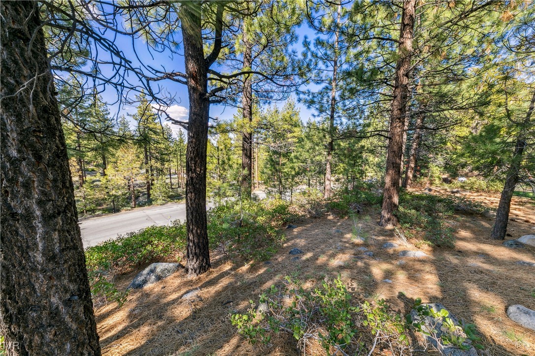 1205 Douglas Fir Drive Reno, NV 89511 - Photo 26 of 26 a view of a yard with plants and trees