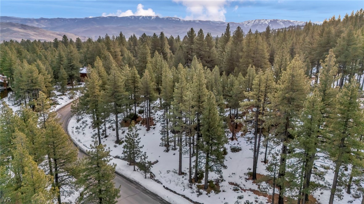 1205 Douglas Fir Drive Reno, NV 89511 - Photo 3 of 26 a view of a city with a mountain