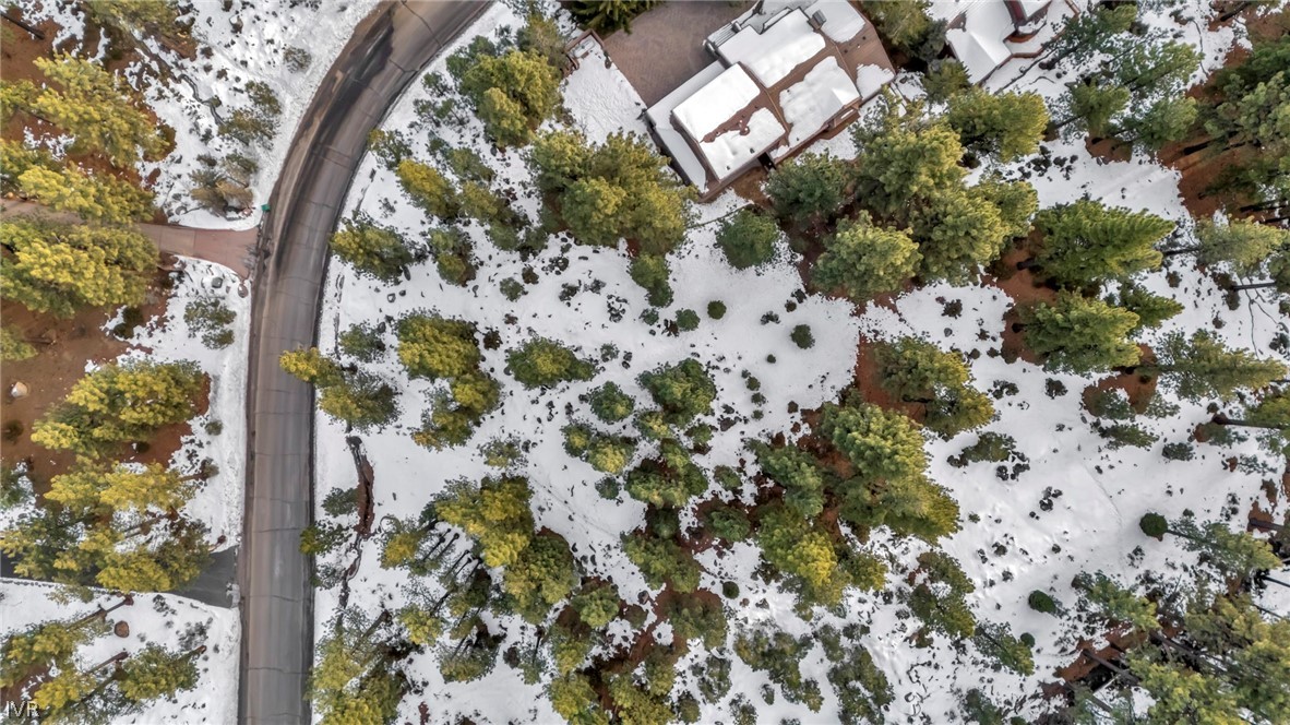 1205 Douglas Fir Drive Reno, NV 89511 - Photo 4 of 26 view of a yard with plants
