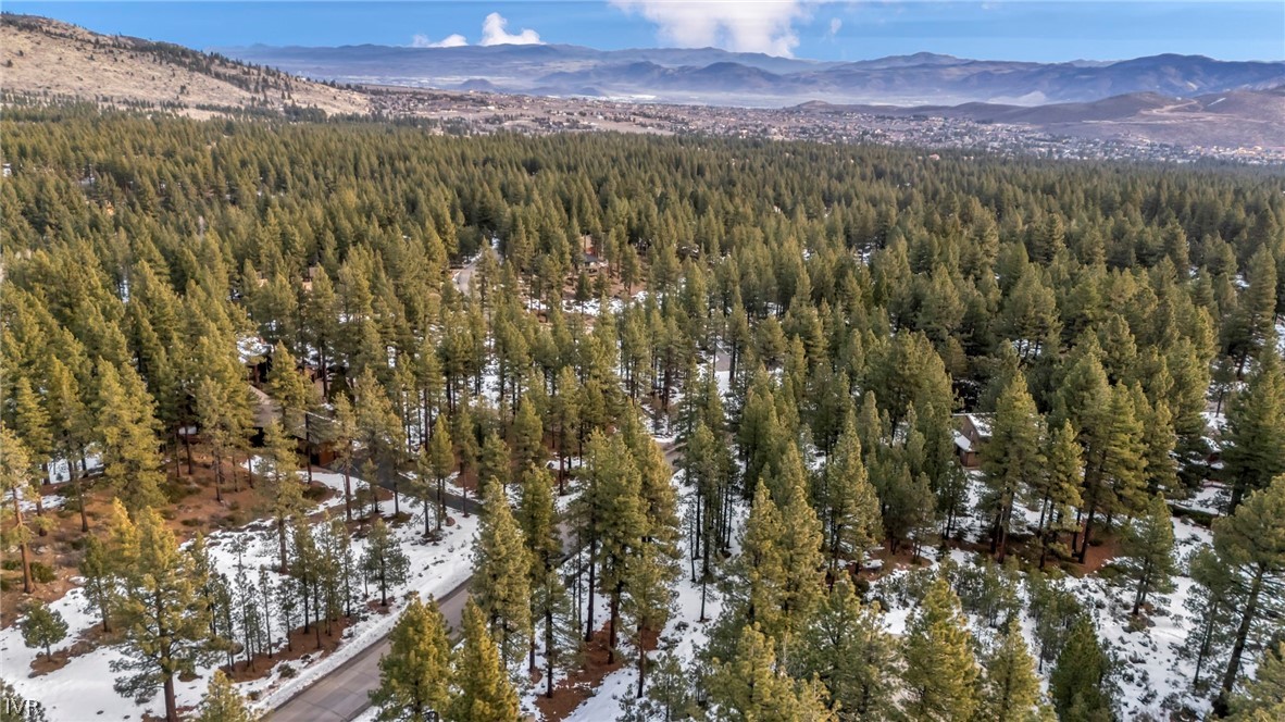 1205 Douglas Fir Drive Reno, NV 89511 - Photo 6 of 26 a view of a city with mountains in the background