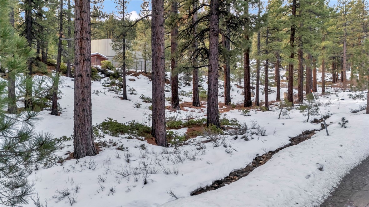 1205 Douglas Fir Drive Reno, NV 89511 - Photo 9 of 26 a view of a road with snow in the background