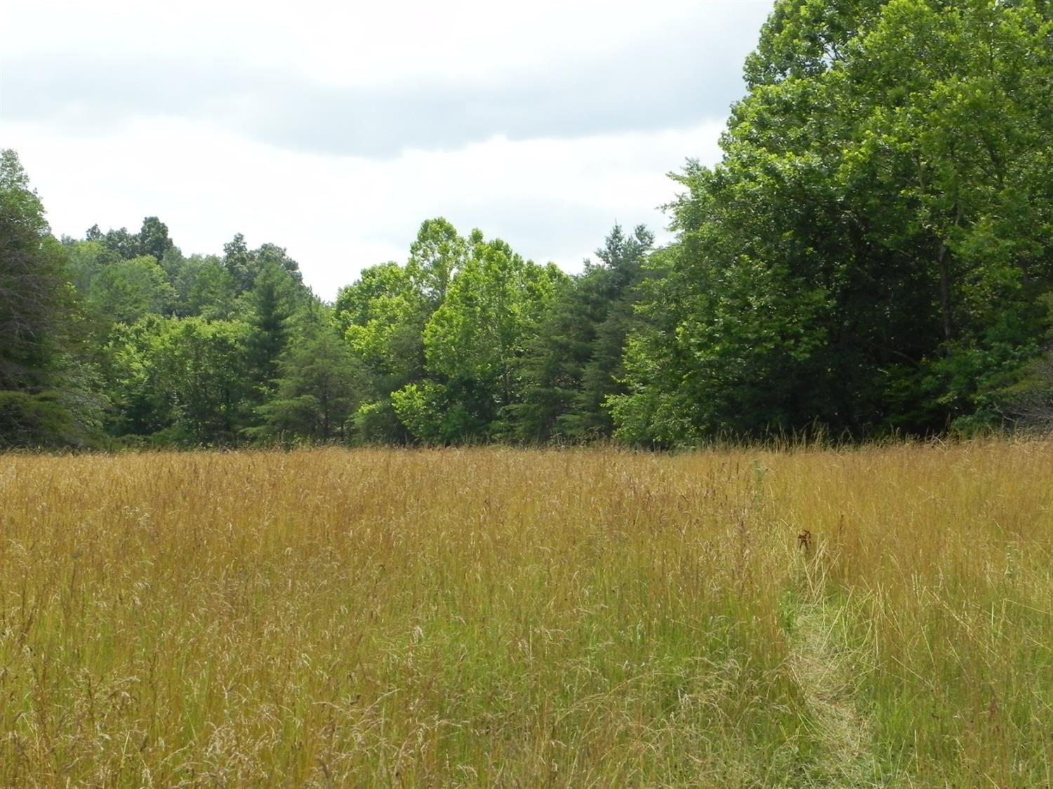 9999 Sasser School Road London, KY 40744 - Photo 26 of 53 Listing Photo