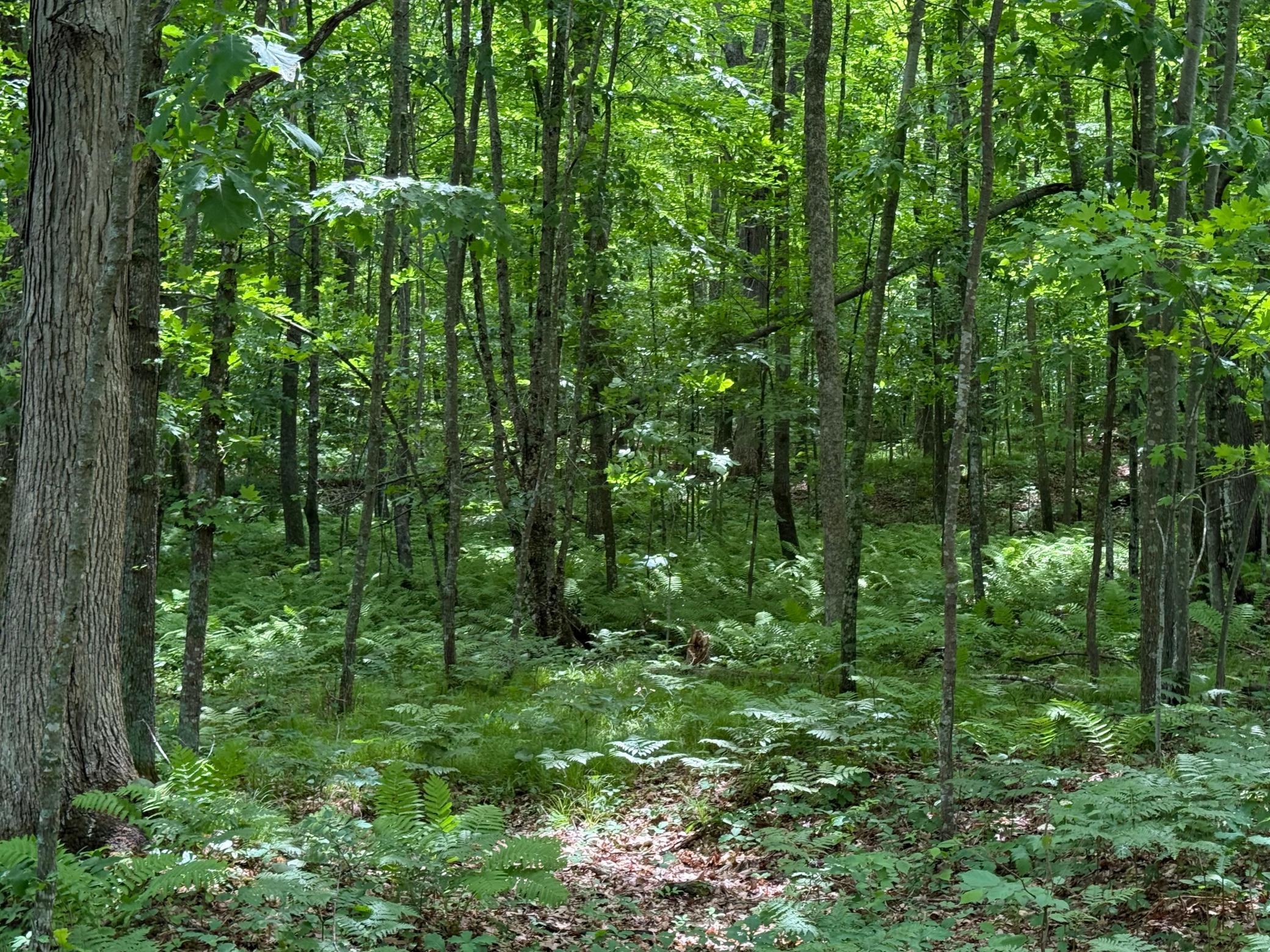 N1785 Leaman Lake Road Shell Lake, WI 54871 - Photo 58 of 63