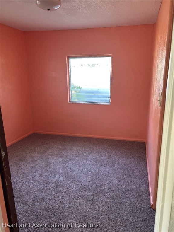 917 West Ruth Street Avon Park, FL 33825 - Photo 11 of 16 Bonus Room