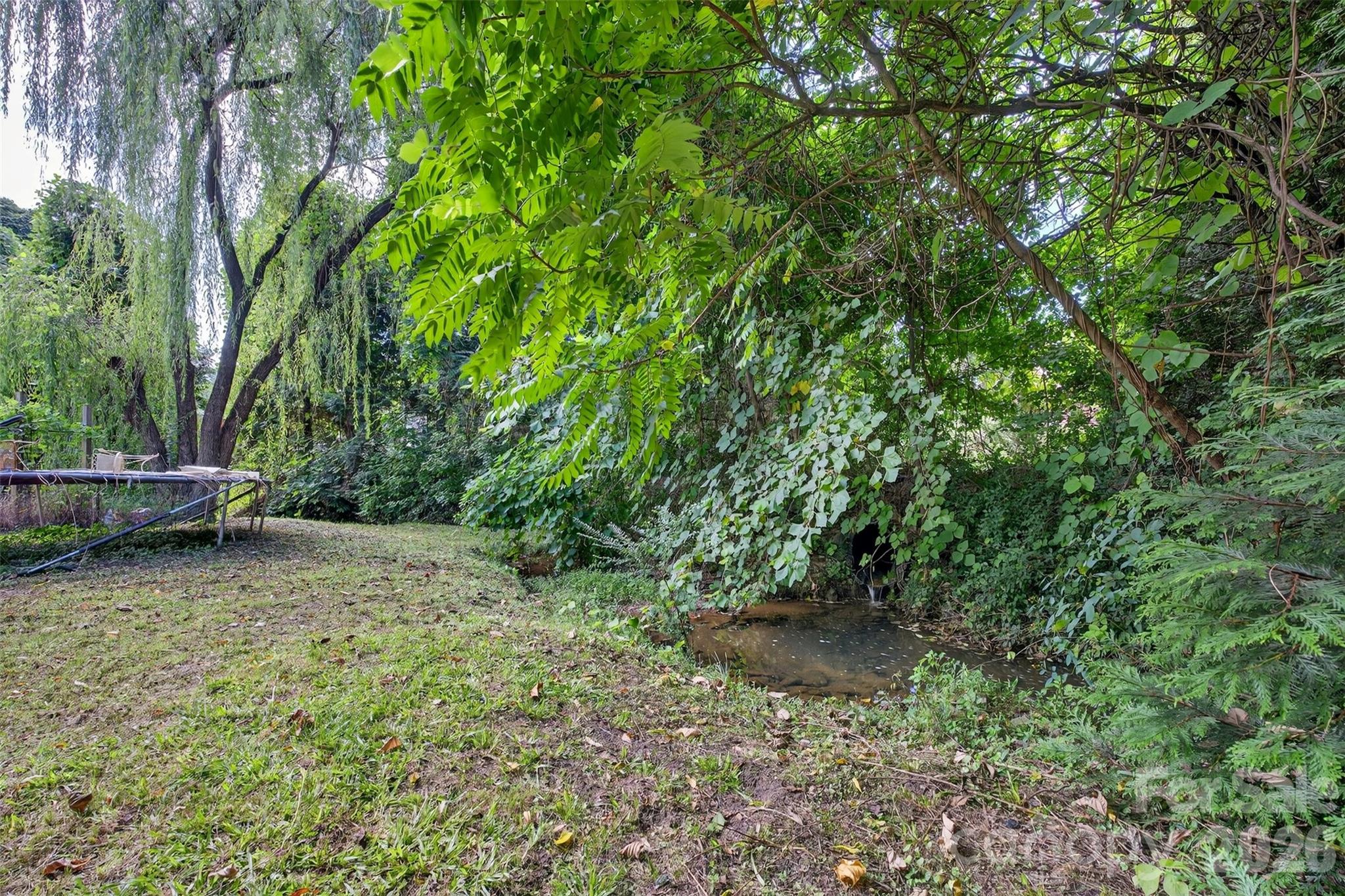 160 East Howard Street Tryon, NC 28782 - Photo 38 of 48 a view of outdoor space and yard