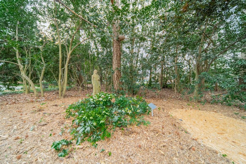 9331 Providence Road Charlotte, NC 28270 - Photo 34 of 39 a view of a forest with trees in the background