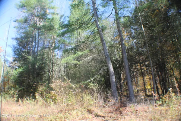 $46,000 | 0 State Route 858 Highway, Little Meadows, PA 18830