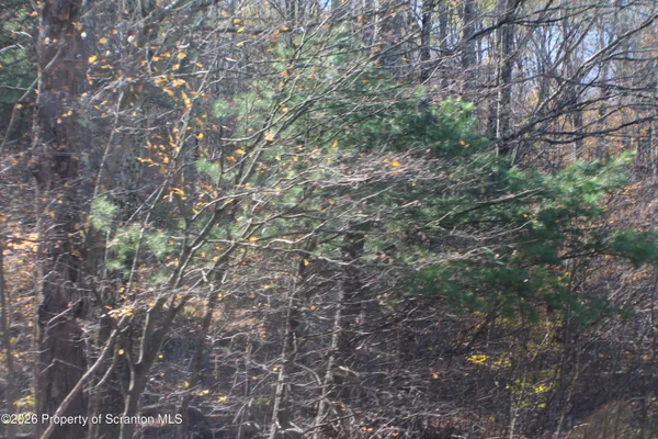 $46,000 | 0 State Route 858 Highway, Little Meadows, PA 18830