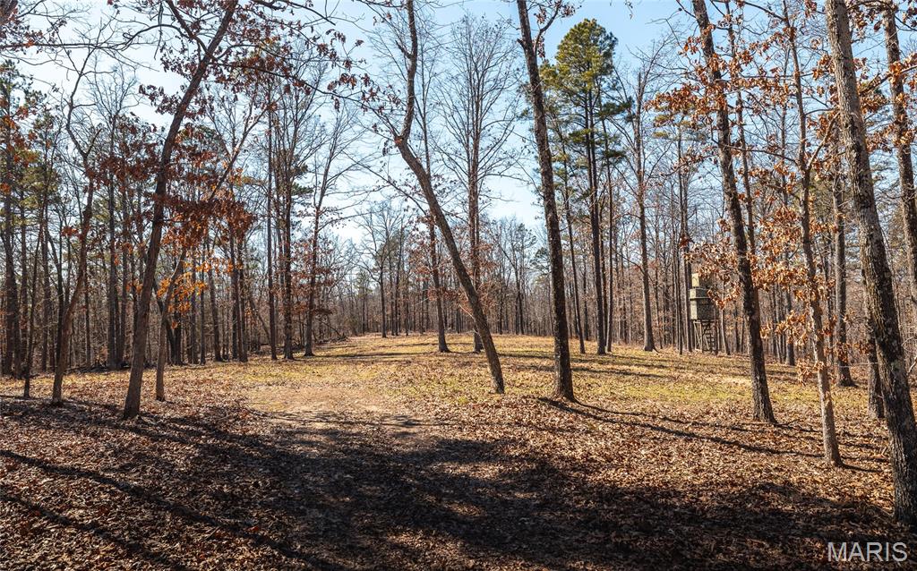 37805 State Highway Patton, MO 63662 - Photo 20 of 30