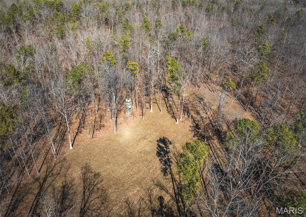 37805 State Highway Patton, MO 63662 - Photo 2 of 30