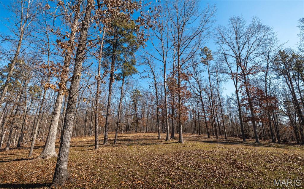 37805 State Highway Patton, MO 63662 - Photo 23 of 30