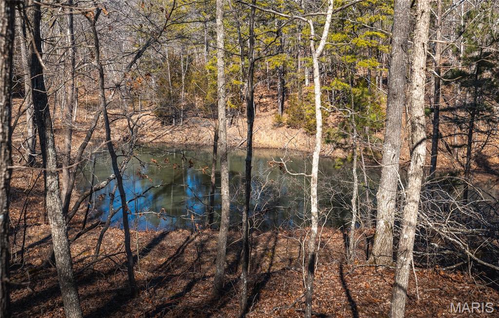 37805 State Highway Patton, MO 63662 - Photo 26 of 30