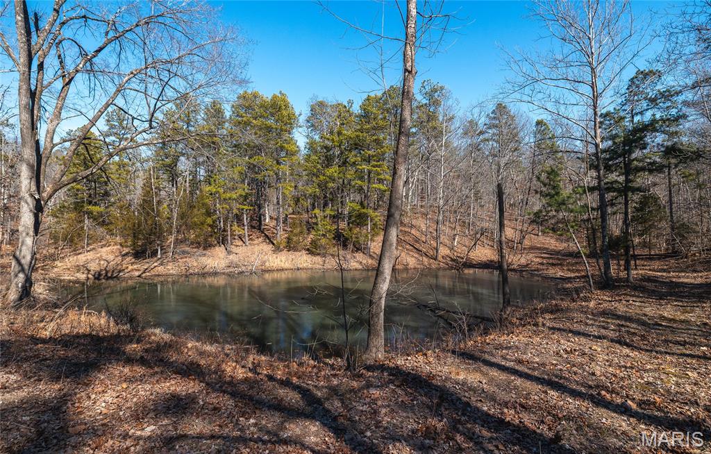 37805 State Highway Patton, MO 63662 - Photo 27 of 30