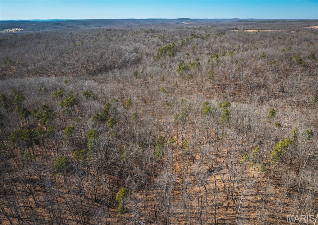 37805 State Highway Patton, MO 63662 - Photo 8 of 30