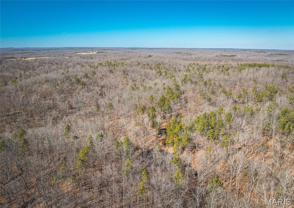 37805 State Highway Patton, MO 63662 - Photo 9 of 30