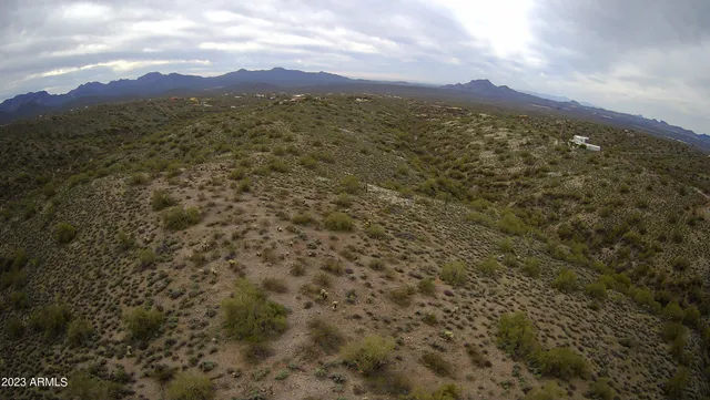 a view of a city with lush green forest