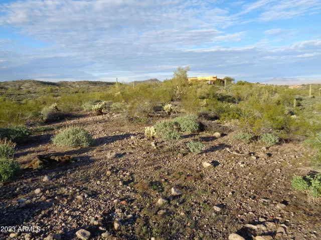 a view of a yard with mountain