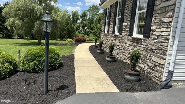 a view of a garden with potted plants